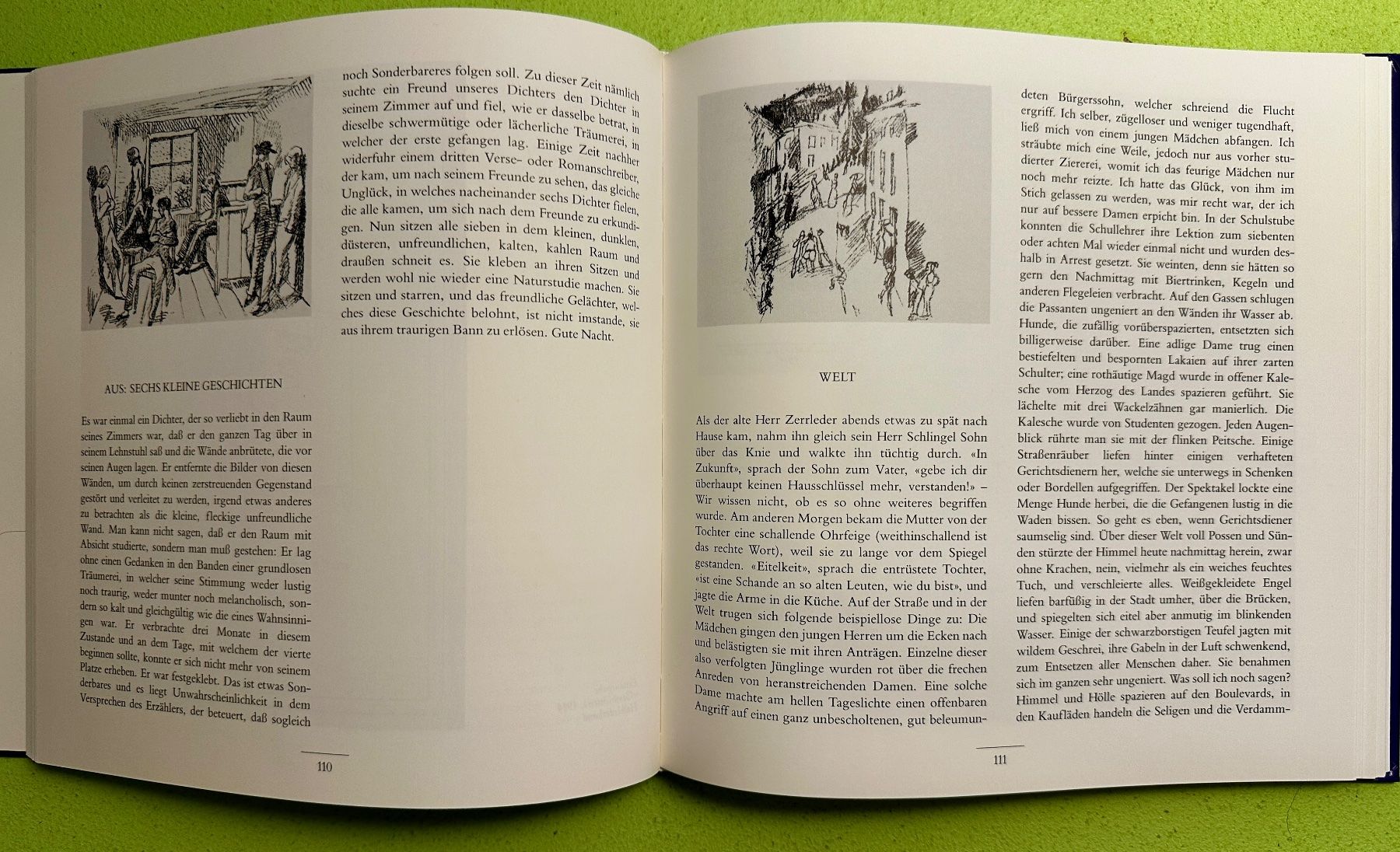 Libri: B. Echte, A. Meier: Die Brüder Karl und Robert Walser – Usato da Zürich venduto da allp 5