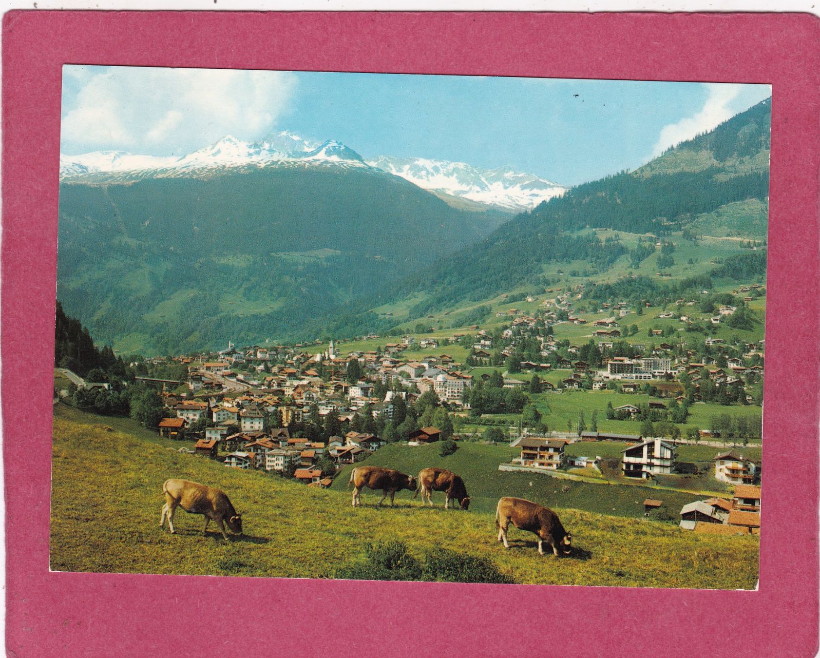 Cartes postales: Klosters mit Madrisa Kühe – D'occasion à Herisau par Lisegrat2008
