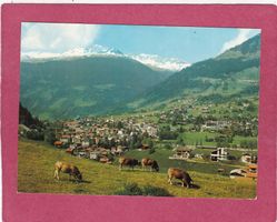Klosters mit Madrisa Kühe