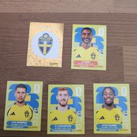 PANINI 2026