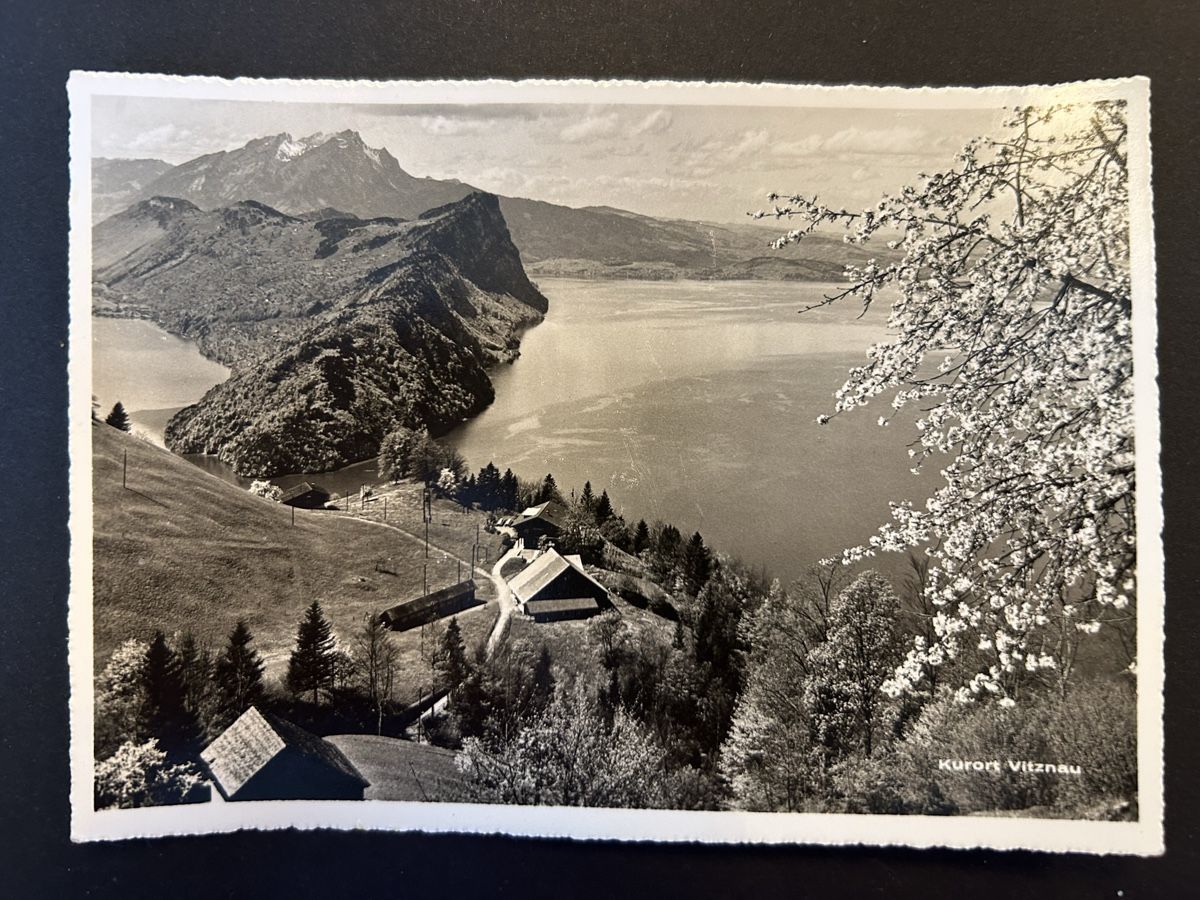 Cartoline postali: Vitznau Berghotel Wissifluh – Usato da Fanas venduto da Alessio11