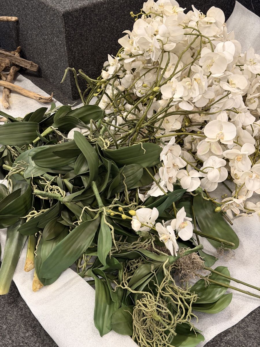 Tutte le decorazioni: Diverse Orchideen und Holz (dekomaterial)  – Usato da Küsnacht ZH venduto da Icon21 2
