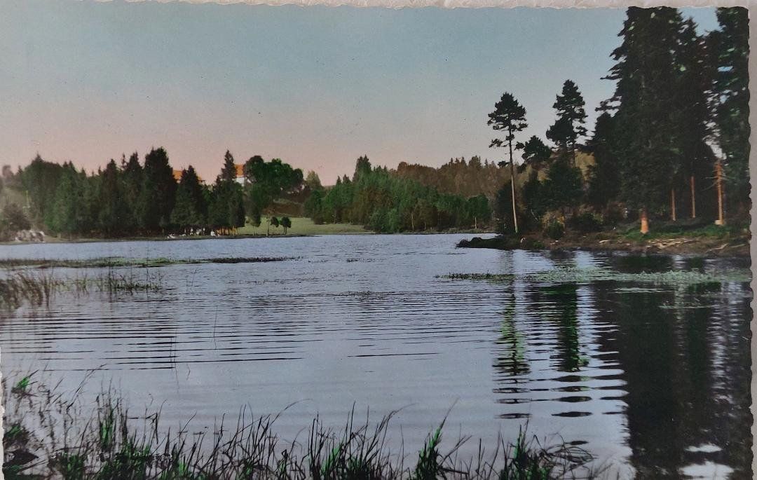 Cartoline postali: GRUÈRE l'étang – Usato da Delémont venduto da Domdom1