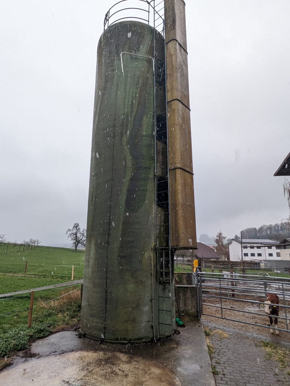Behälter & Ähnliches: Kunststoffsilo für Grünfutter – Gebraucht aus Roggliswil von amara06
