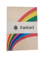 Druckerpapier Kopierpapier A4 80g lachsfarben