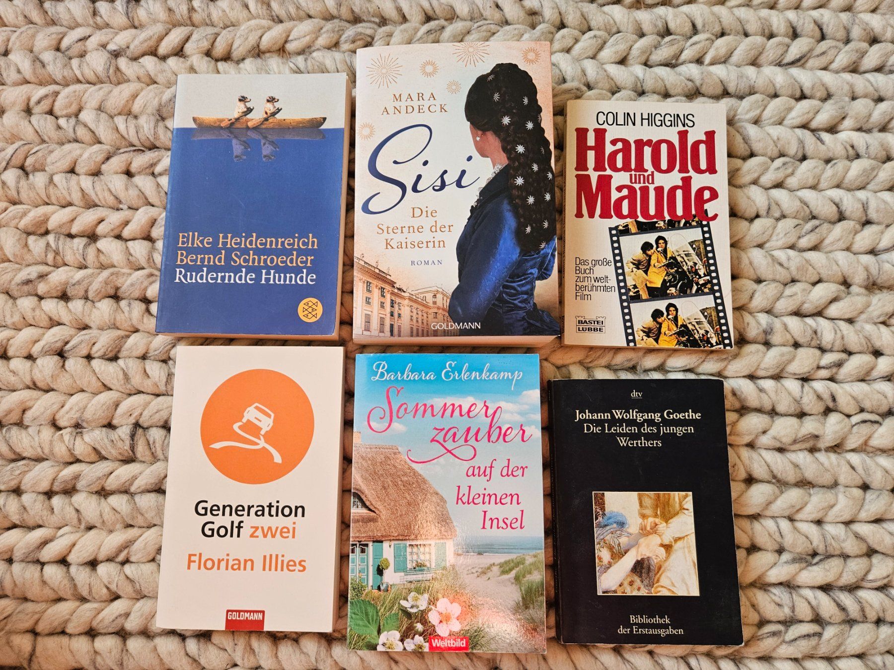 Libri: 6 Taschenbücher – Usato da Wettingen venduto da Sk8ertomda