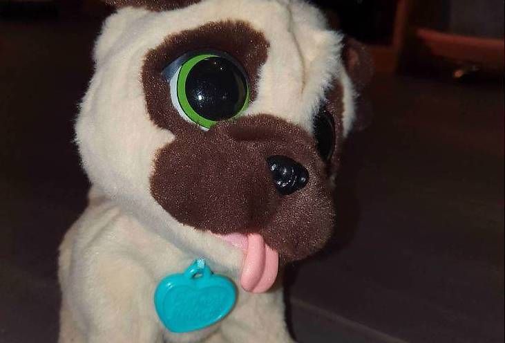 Giocattoli: FurReal Friend chien – Usato da Ste-Croix venduto da tougaz 1