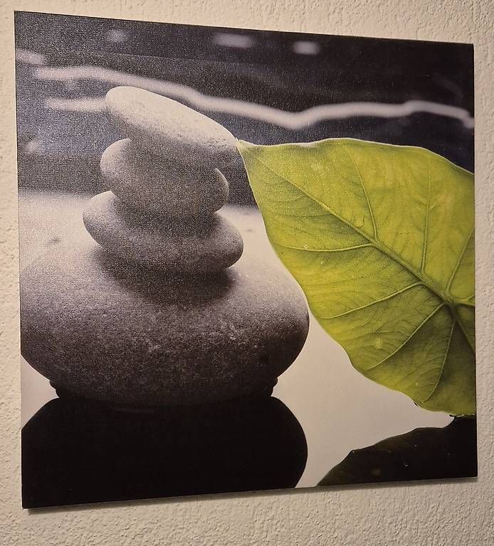 Posters & Illustrations: Bilder – D'occasion à Staad SG par Anj. 1