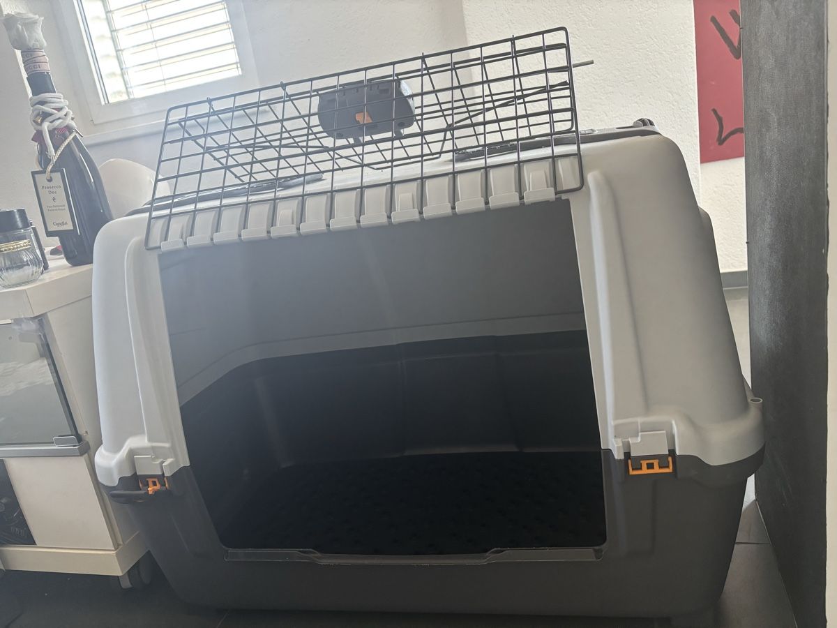 Altro in Decorazioni & Accessori: Hundebox M – Usato da Menziken venduto da jul.kl