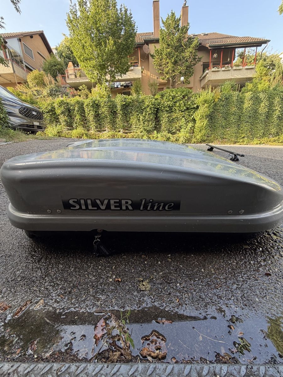 Coffres de toit: Dachbox SILVER line SPAZIO 300 Silber – D'occasion à Grosshöchstetten par Tobias.David 1