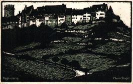 Regensberg (Pro Juventute)