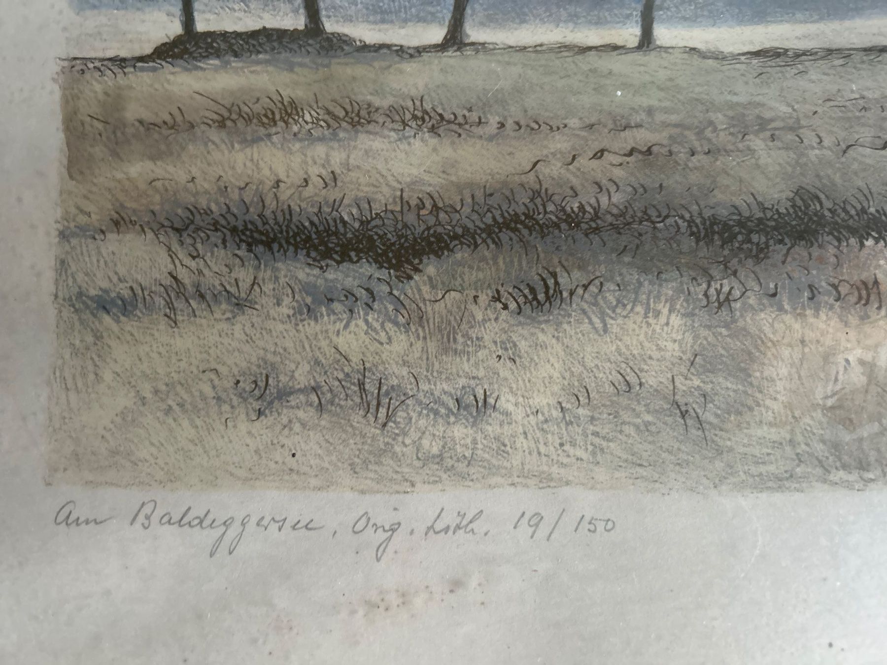 Grafica & Litografie: Erh. Steinmann Lithographie "am Baldeggersee" 19/150 – Usato da Villnachern venduto da RicardoMary 2