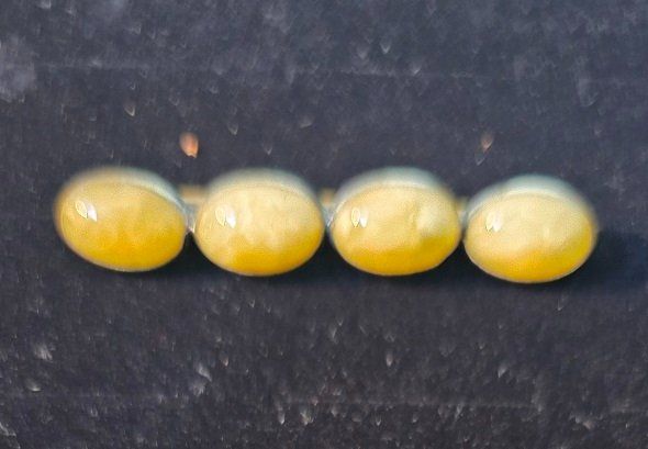 Spille & Fermagli: Antike Stabnadel / Stabbrosche mit echtem Naturbernstein – Usato da Flums venduto da Flumsantik