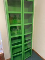 Grüner Schrank mit Glastüren - 80 x 200 cm