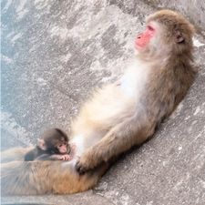 Profile image of whosnipedmyass