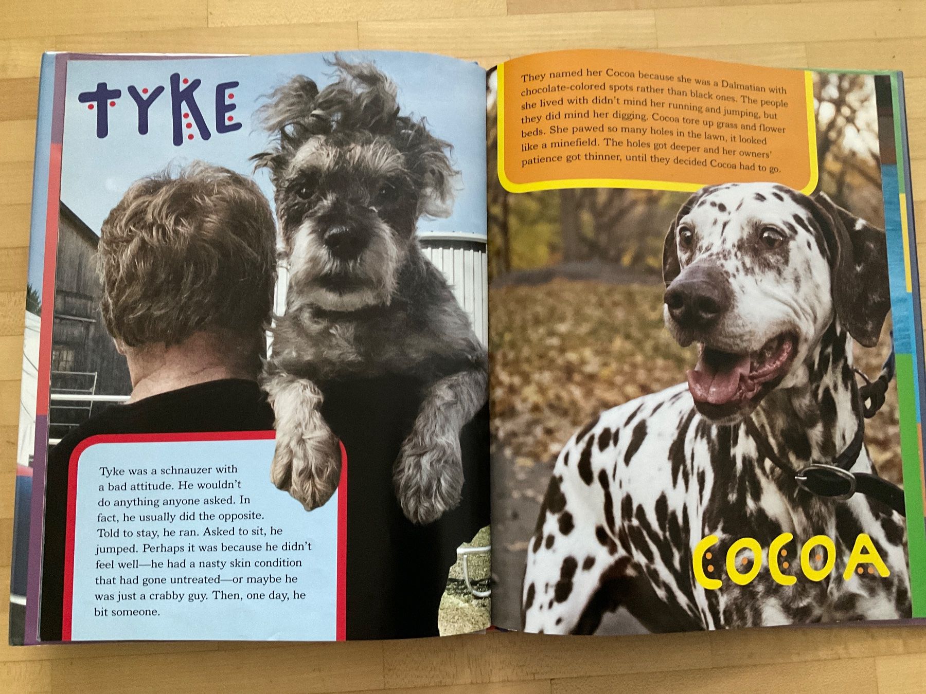 Bücher: English Books Animals – Gebraucht aus Winterthur von aionila 6