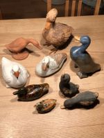 Für Enten Liebhaber - 9 diverse Enten