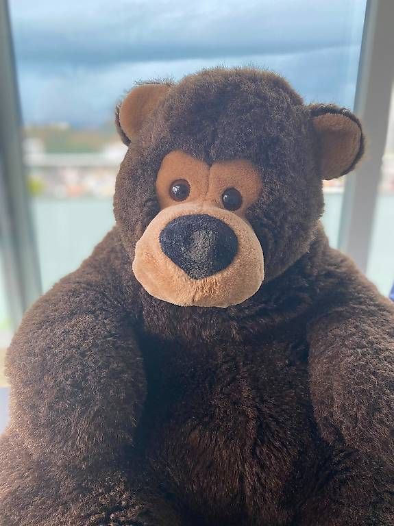 Jouets: Grosser Plüschbär / Teddybär – D'occasion à Buchrain par nic_9k5l 1