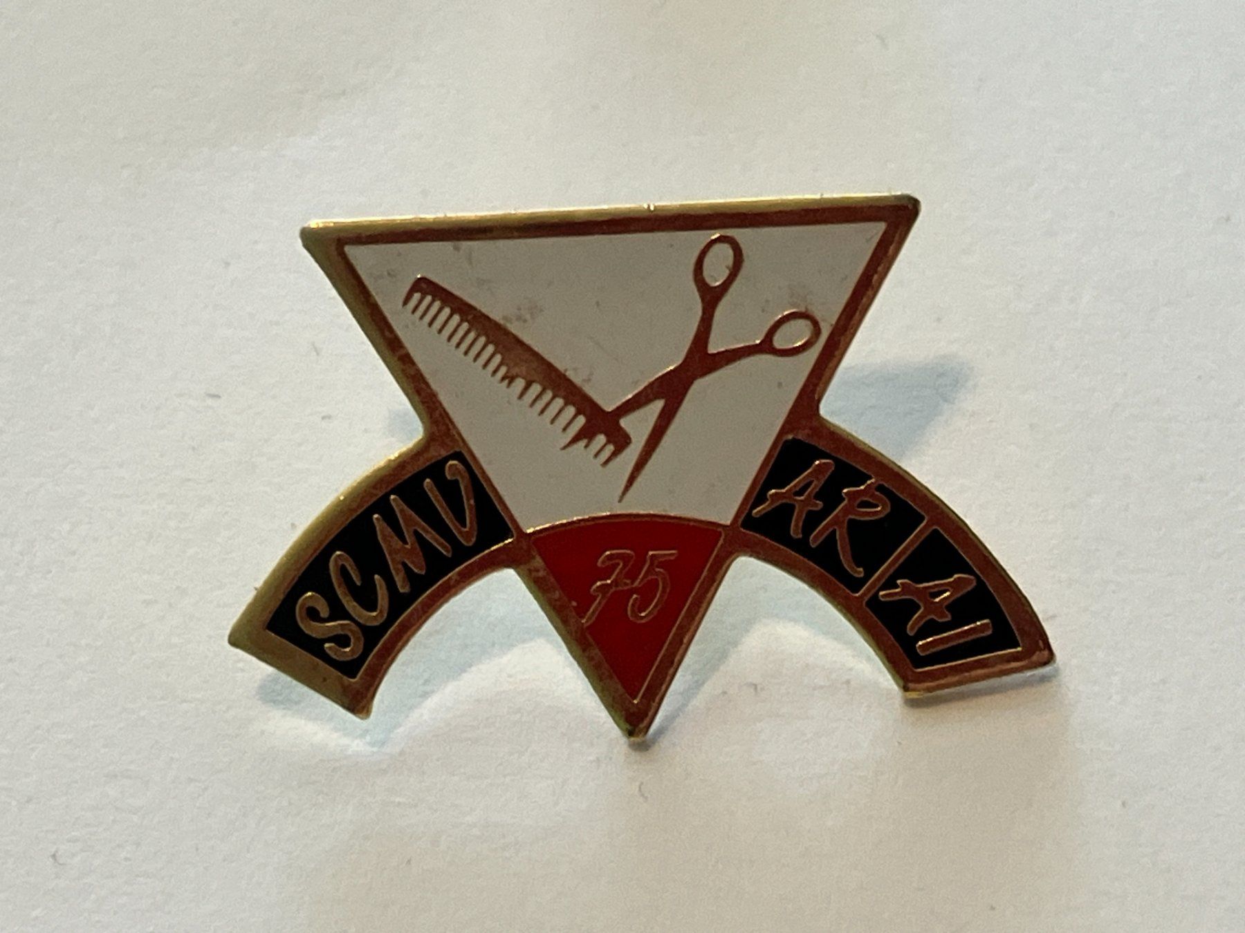 Placchette & Badge: 1 Pin SCMV AR AI 75 Coiffure – Usato da Basel venduto da djwwpp