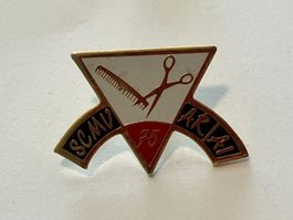 1 Pin SCMV AR AI 75 Coiffure