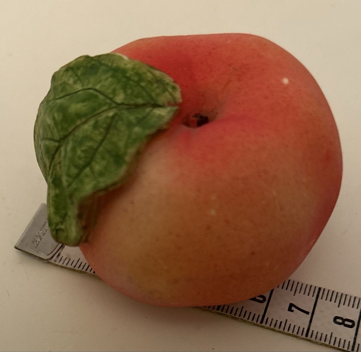 Tutte le decorazioni: Süsses Mäuschen in Apfel.Hübsche Deko Steinmehl. – Usato da allschwil venduto da basel5