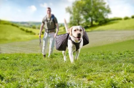Dogs Creek Rucksack (Grösse XL) - der perfekte Begleiter!