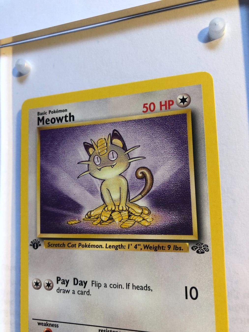 Sammelbilder & Trading cards: Meowth 1st Jungle - MINT - ab 1.- – Gebraucht aus Giubiasco von dan_pr8b 3