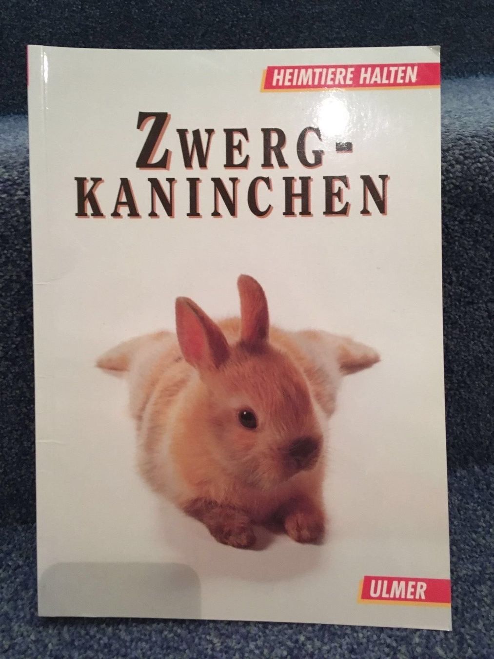 Libri: 3 Kaninchenratgeber – Nuovo (secondo la descrizione) da Hinteregg venduto da Carimba90 2