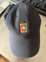 Nike SB Hut