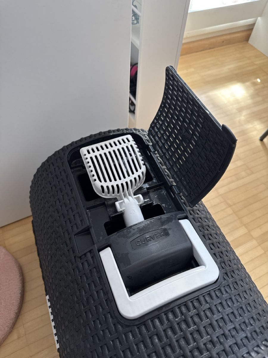 Tiragraffi: Cat Bundle: Scratch Post, Litter Box, Toys - Great Deal! – Usato da Aesch BL venduto da 133_kiky 2