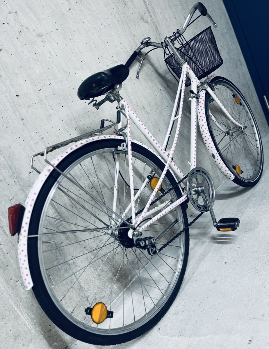 Vélos: Damen Velo – D'occasion à Zürich par Bidon3011 1