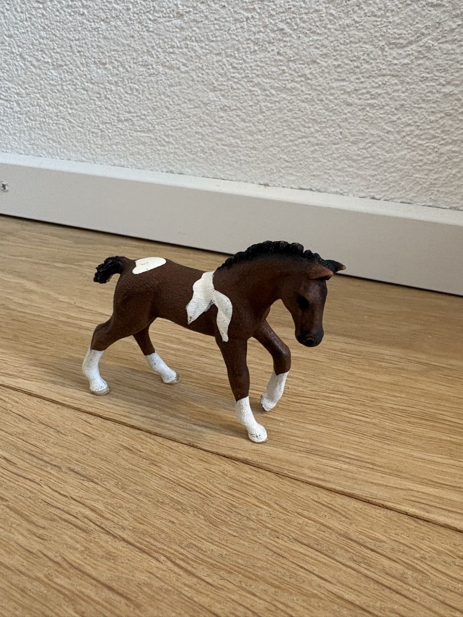 Schleich Giocattoli: Schleich Fohlen – Usato da Thun venduto da sop_thg9