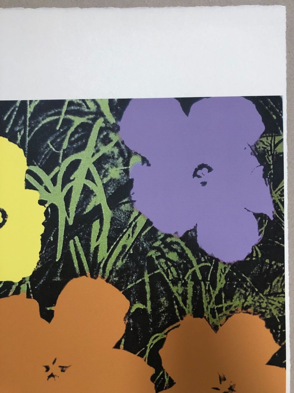 Foto & Immagini: Andy Warhol: Flowers 83/100 – Nuovo (secondo la descrizione) da Meilen venduto da Smgdesign 4