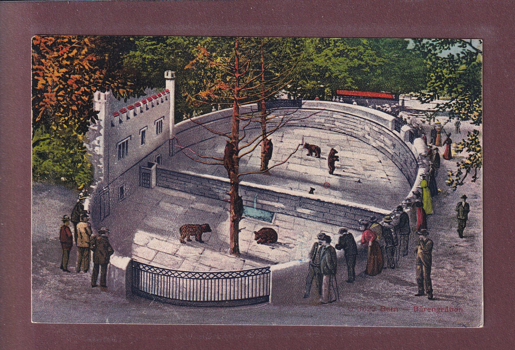Cartes postales: BERN - Bärengraben – D'occasion à Pully par nicecards