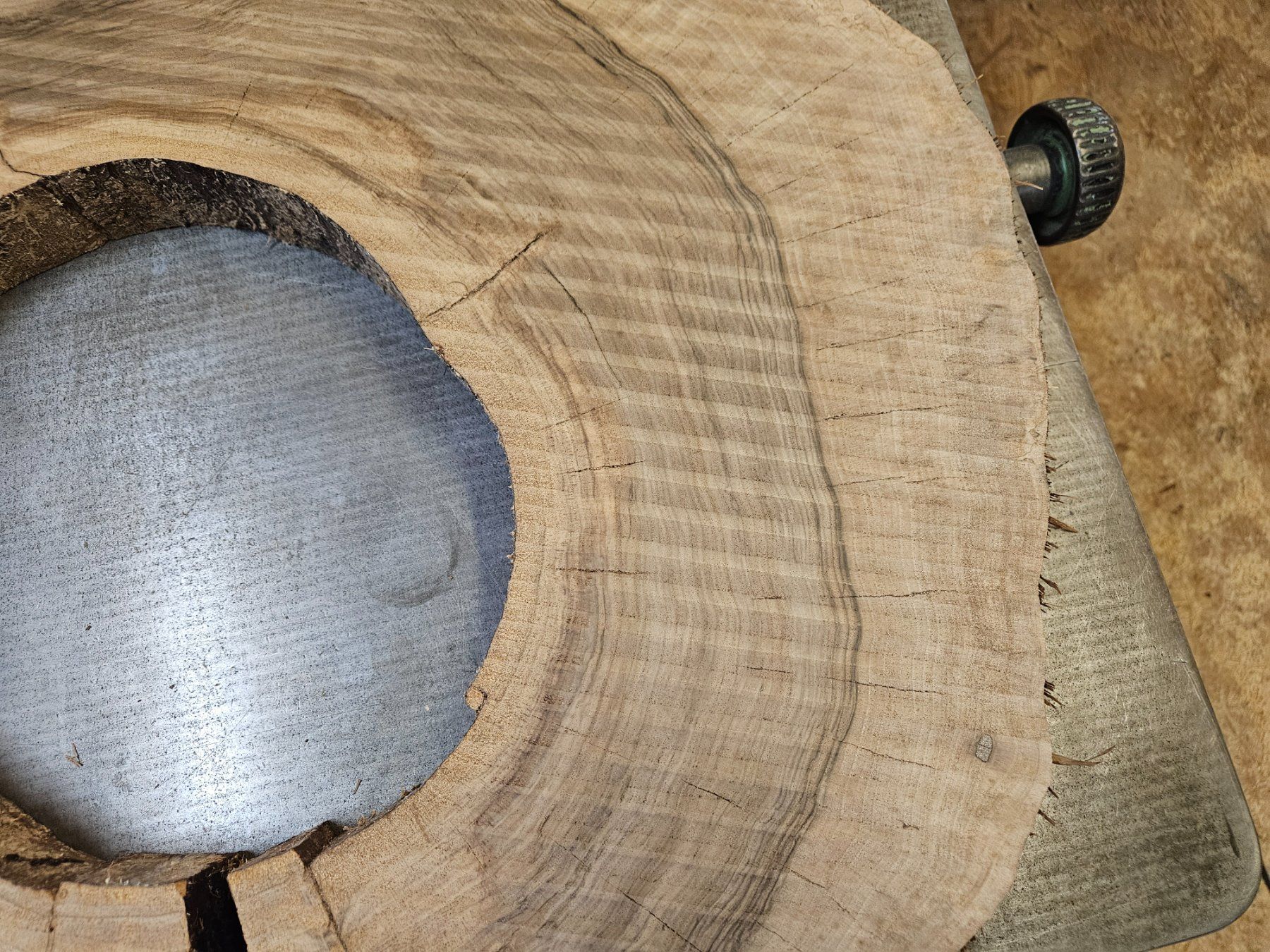 Articoli in legno: Nussbaum Holz Baumscheibe – Nuovo (secondo la descrizione) da Schangnau venduto da egli6.2 4