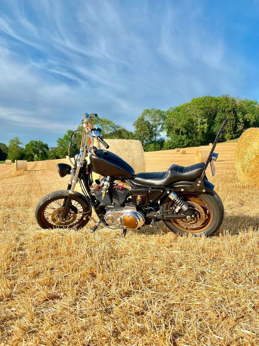 Harley-Davidson Chopper: HARLEY DAVIDSON XL 1200 C – Gebraucht aus fribourg von vak_kr6q 2