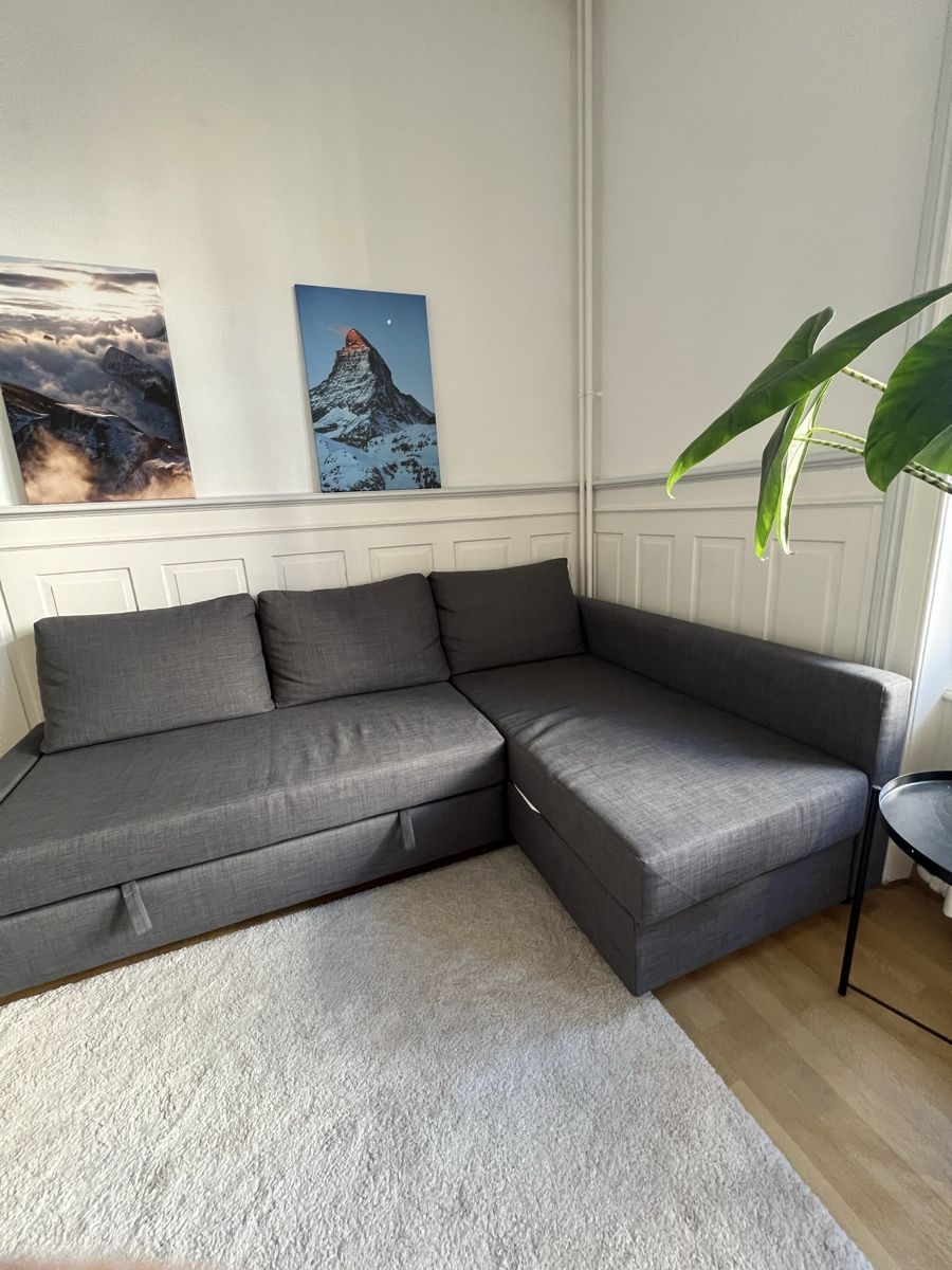 Ikea Sofas: IKEA Schlafsofa FRIHETEN – Gebraucht aus Zürich von jan_8ffb 1