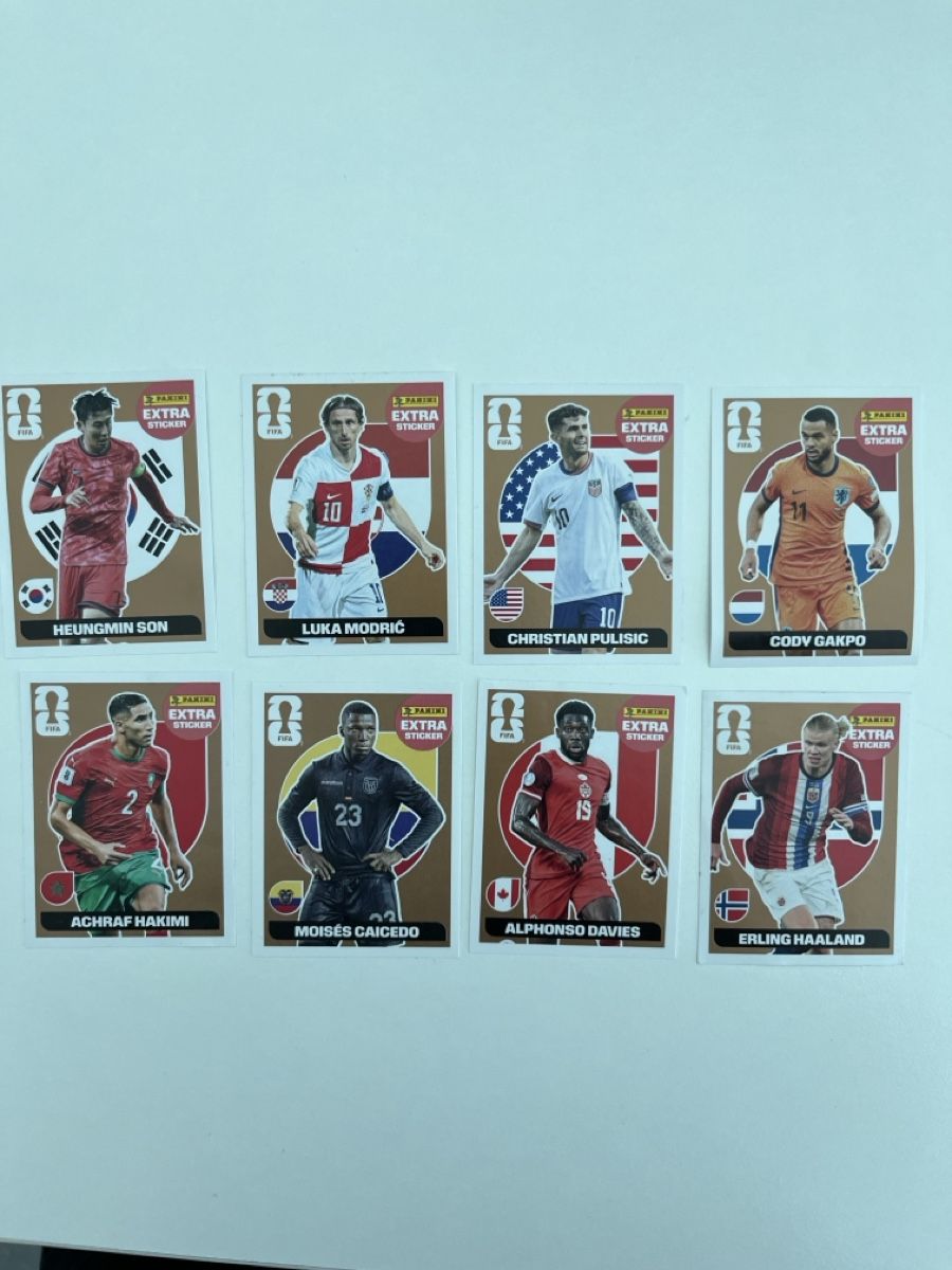 Panini Carte collezionabili: Panini Extra Sticker Bronze Konvolut 8 Stk – Nuovo (secondo la descrizione) da Stäfa venduto da greety1981
