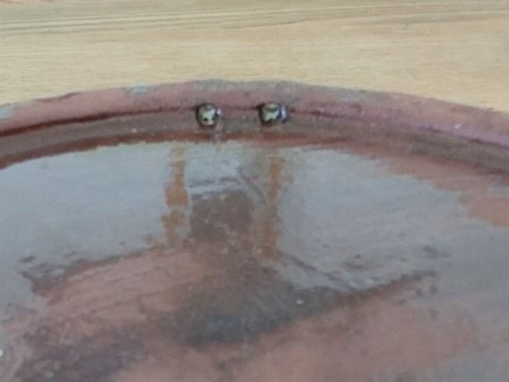 Ciotole: Grosse Ton-/Obstschale – Usato da Adlikon b. Andelfingen venduto da Kraemse 5