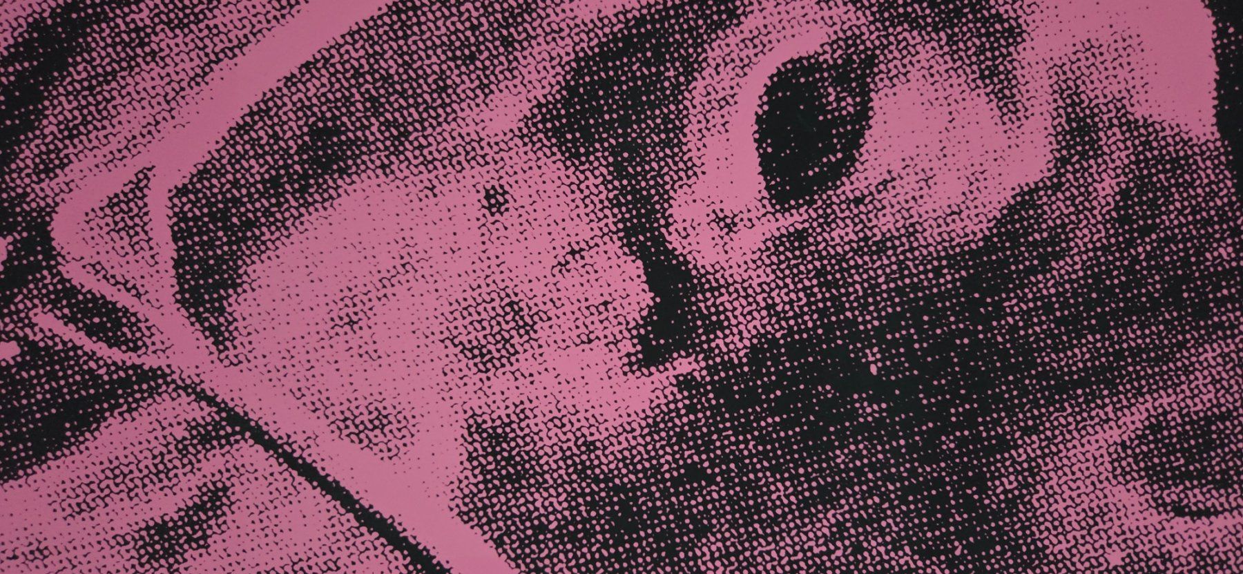 Grafica & Litografie: Andy Warhol Cow Siebdruck handsigniert – Usato da Baden venduto da Digit6 5