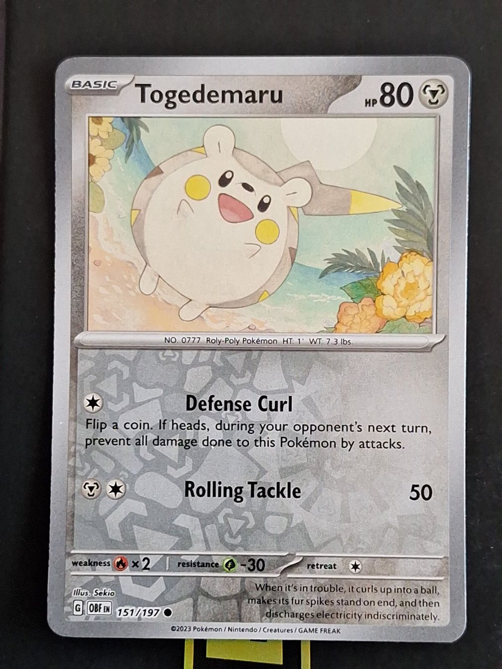 Pokémon Carte collezionabili: Togedemaru - Pokemon Reverse Holo Obsidian Flames – Usato da Altstätten SG venduto da GGsGameshop