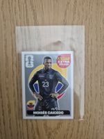 Extra Sticker, Caicedo Silver/Argent 