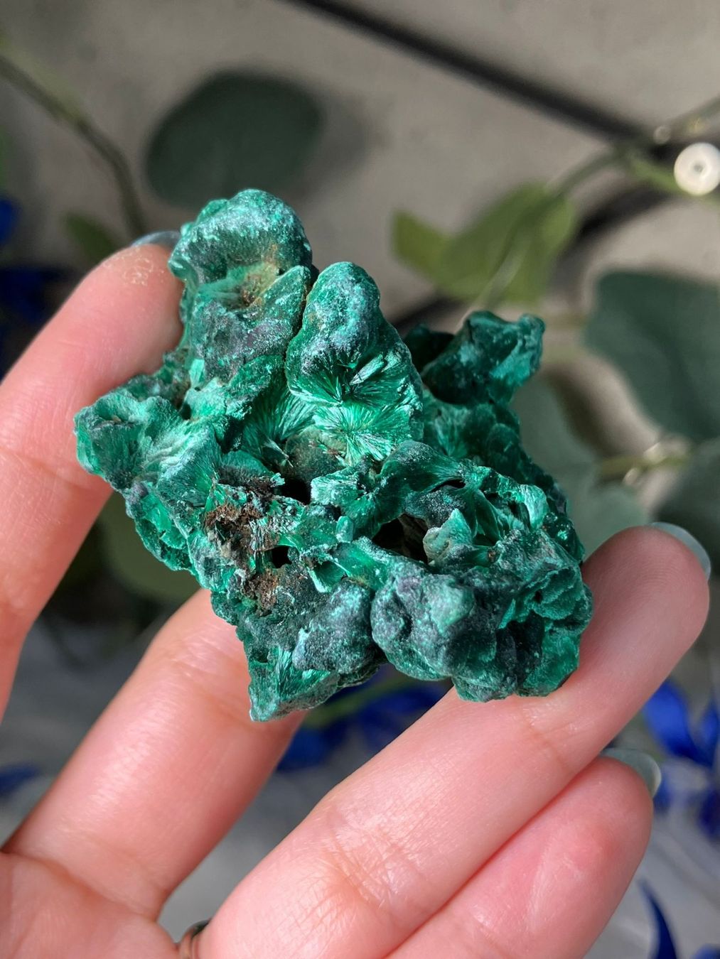 Minerali & Pietre curative: Malachit – Nuovo (secondo la descrizione) da Neuheim venduto da m.hald 1