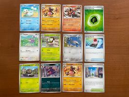 Pokemon 12er Karten Set (Versand gratis)