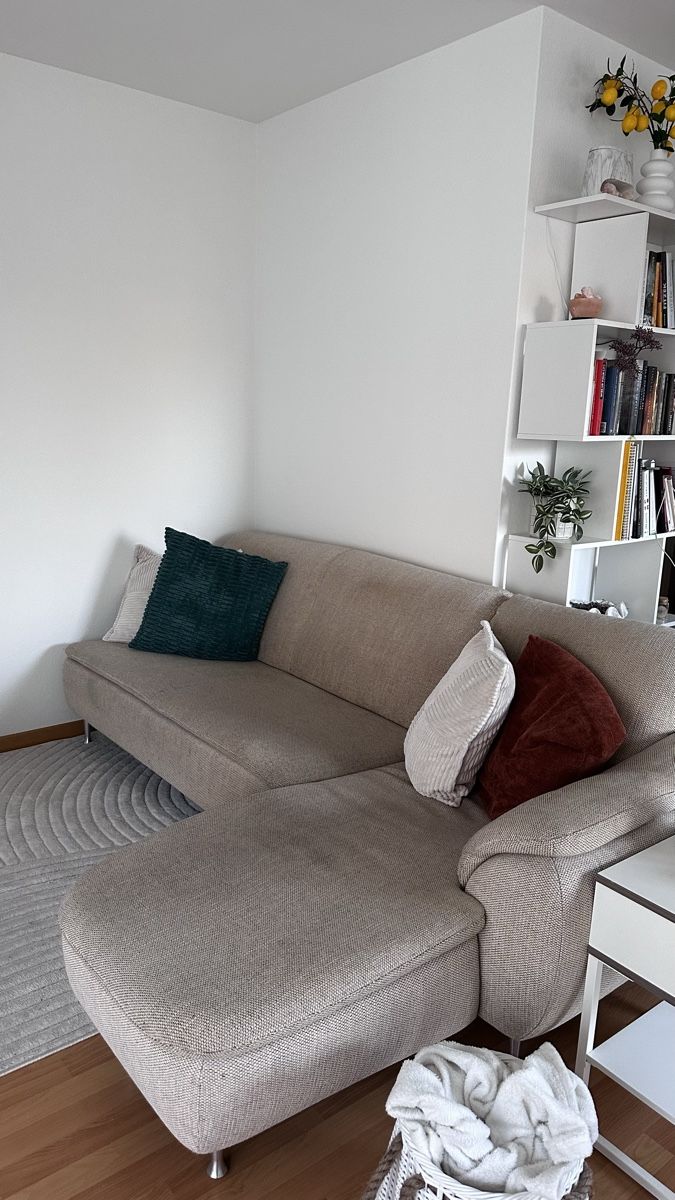 Pfister Sofas: Designer Sofa - mehrteilig – D'occasion à Adlikon b. Regensdorf par JennyWeber01