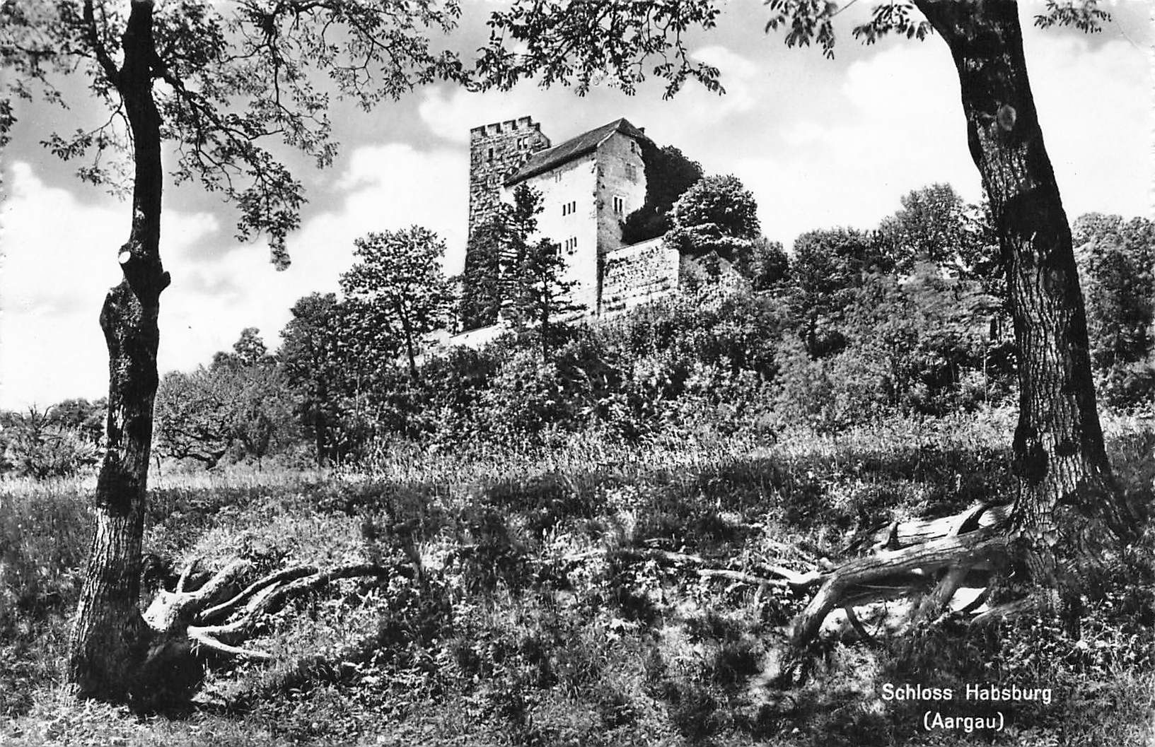 Cartoline postali: Habsburg schloss – Usato da Biasca venduto da Blenio71
