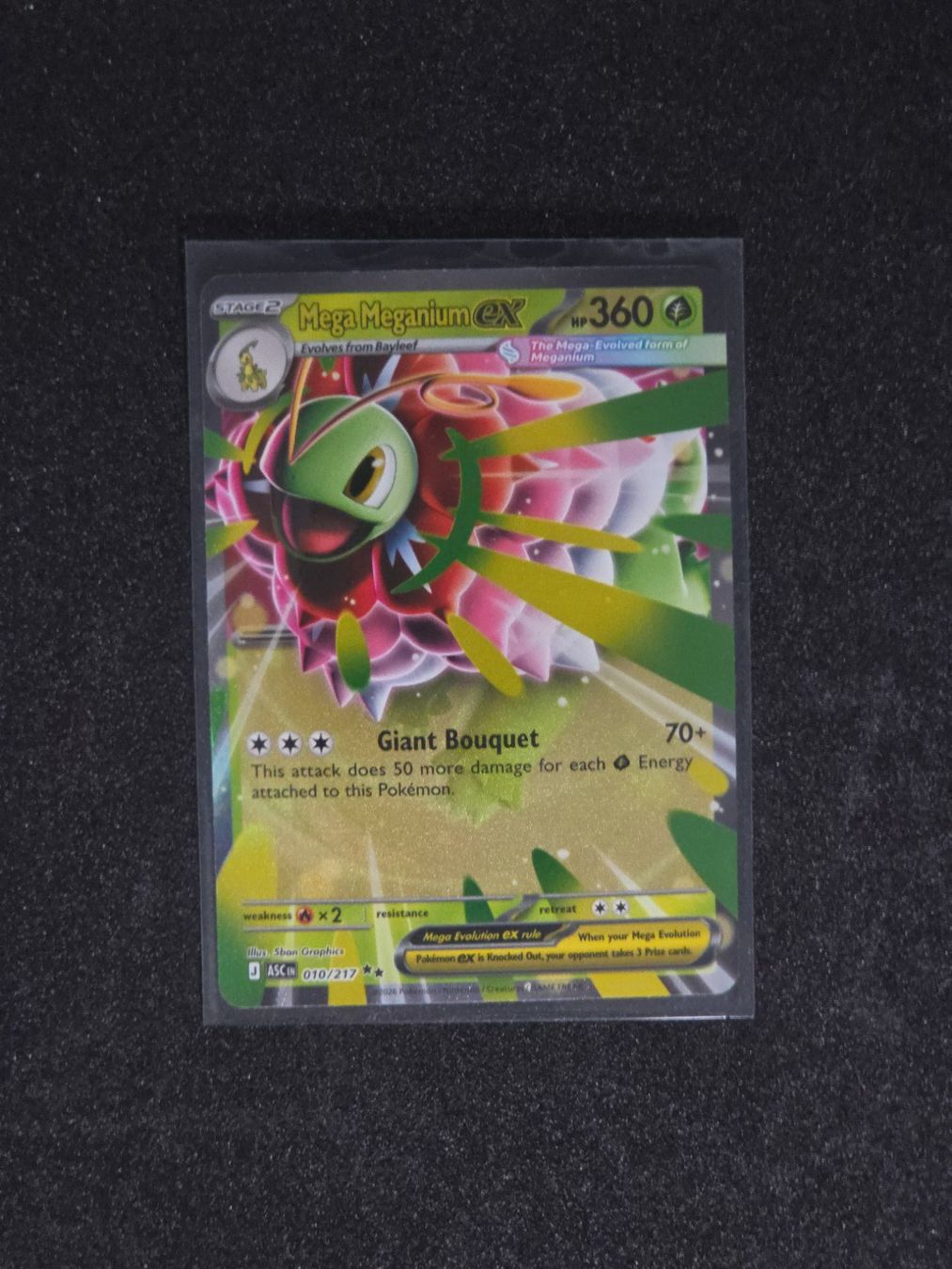 Pokémon Carte collezionabili: Mega Meganium ex - ASC-10 – Usato da St. Gallen venduto da CardZelo