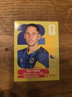 Panini Sticker 2026 BIH 7