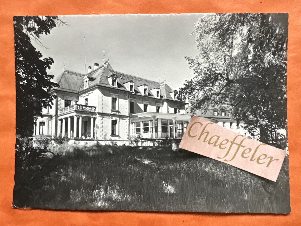 Cartoline postali: Mesenberg, Oberwil Zug – Difettoso da Zürich venduto da Chaeffeler