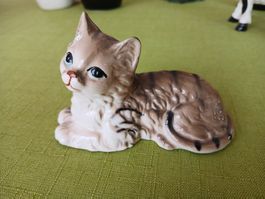 Katze Tiegerli